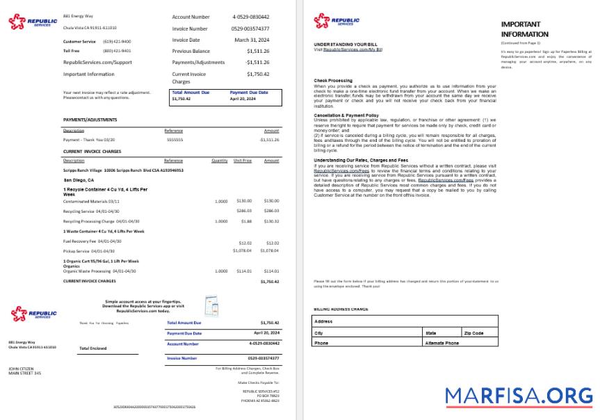 Realistic USA Rpublic Services energy utility bil Word and PDF formats, 2 pages download for verification